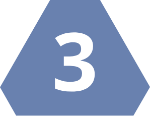 Step 3
